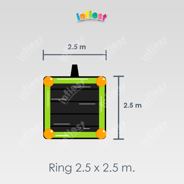 Ring 2.5 x 2.5 m. (RIG-01) - Imagen 4